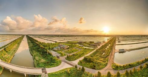 专访 | 华东地区规模最大！探秘8万亩标准化水产养殖基地